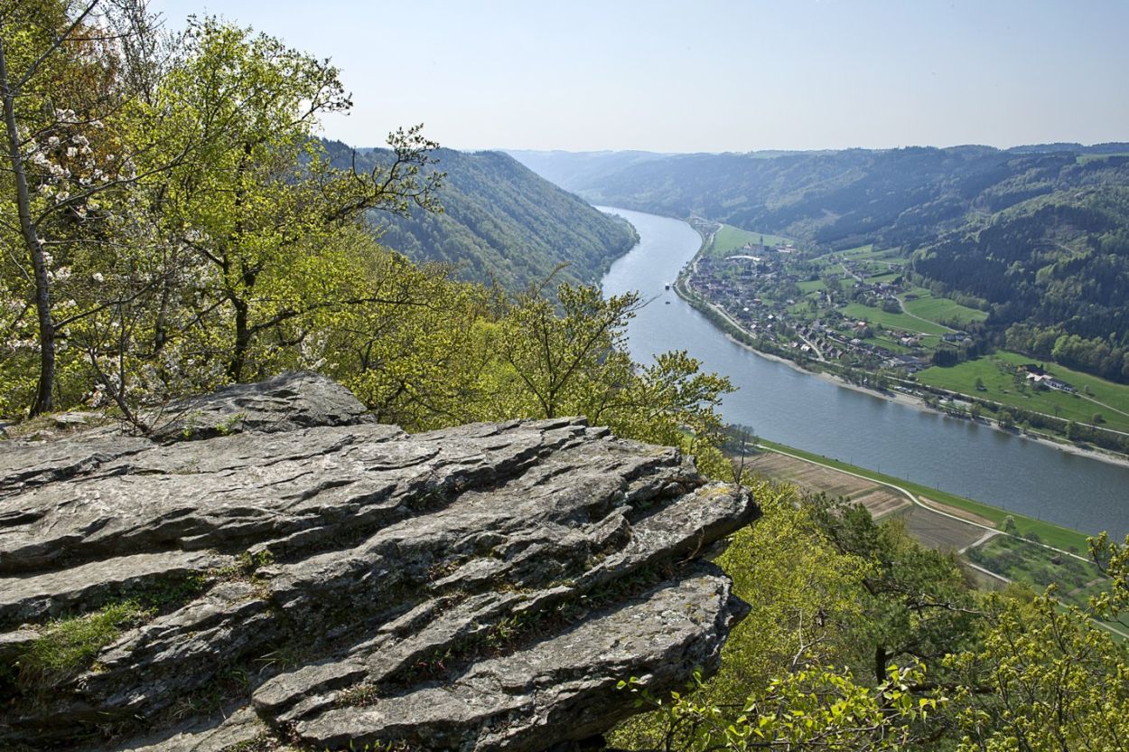 Natur Natur
