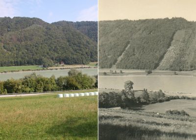 Landschaftswandel, Donautal, Passau, Donauleiten