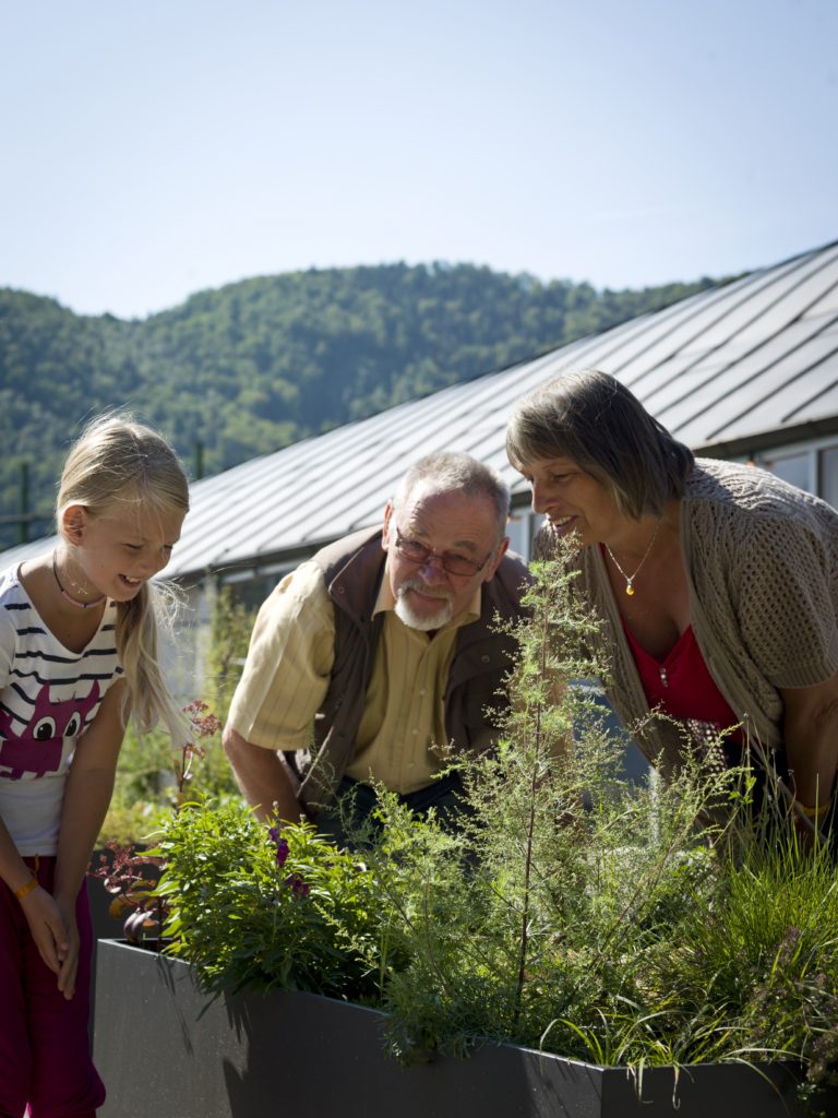 Plant rarities from the Danube Valley