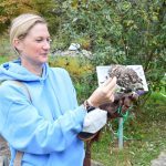 Faszination Greifvögel und Käuze: Falknerin Holthaus mit Steinkauz