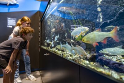 Aquarium 2