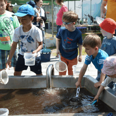 Wasserstationen